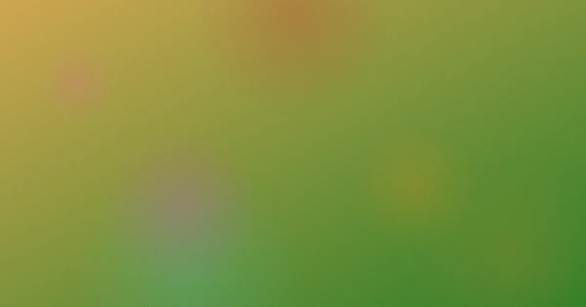 你懂的欧美攻略：三类入口横向比